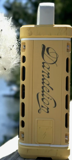 Dandelion Turtlebox Speaker