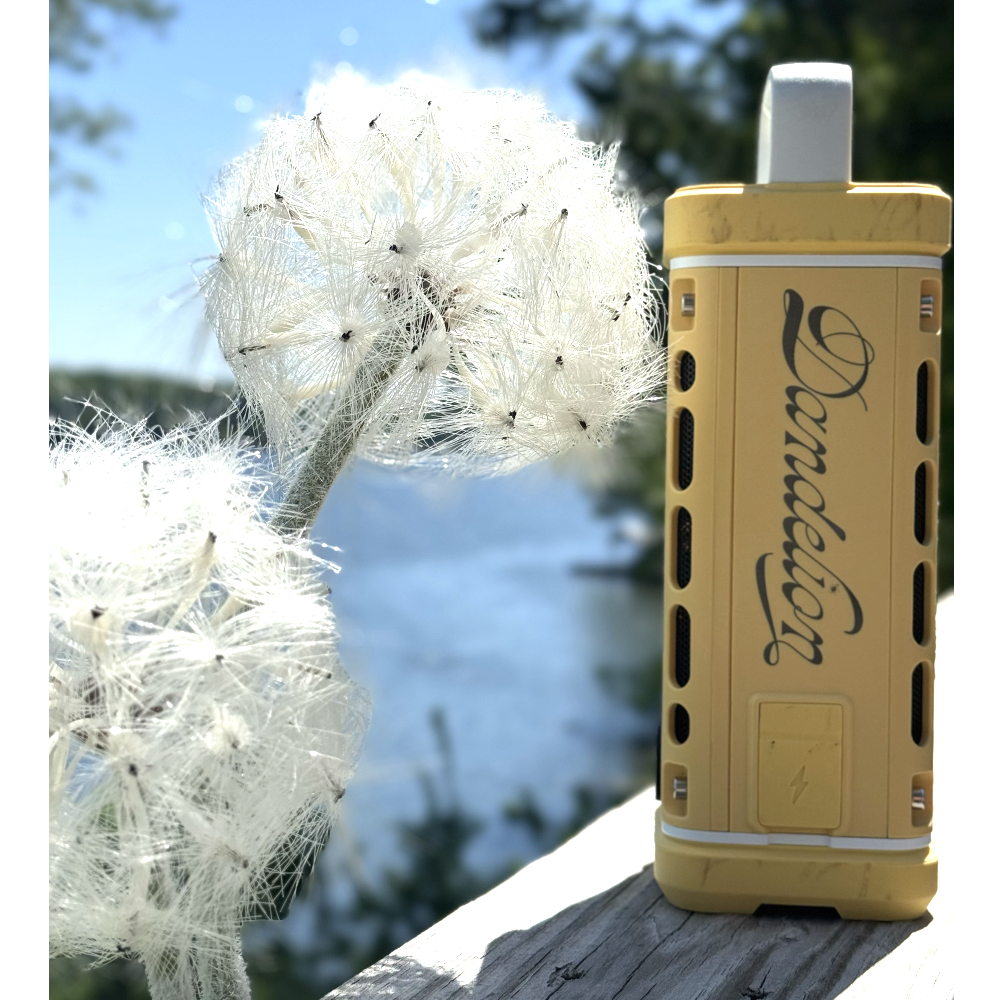Dandelion Turtlebox Speaker